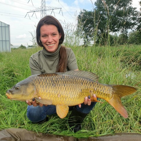 MijnVISmaat foto van de maand karper