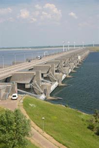 20 april: Wereld vismigratiedag op Stellendam (video)