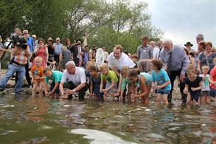 200.000 elftenlarven uitgezet in Rijn
