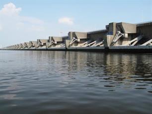 21 mei: World Fish Migration Day