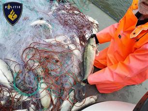 300 meter illegale netten met houting en vogels uit IJsselmeer