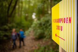 3349 FvdB 20180818 (Medium)