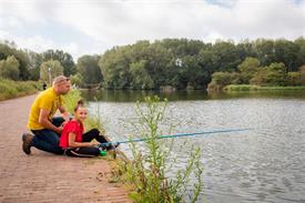 3375 FvdB 20180818 (Medium)