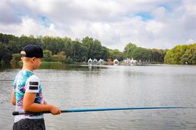 3378 FvdB 20180818 (Medium)