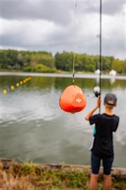 3422 FvdB 20180818 (Medium)