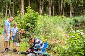 3630 FvdB 20180818 (Medium)