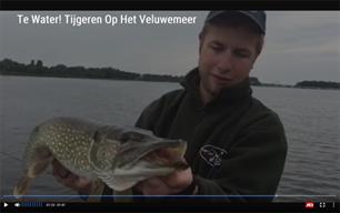 AD-artikel: 'Denken als een snoek' (video)