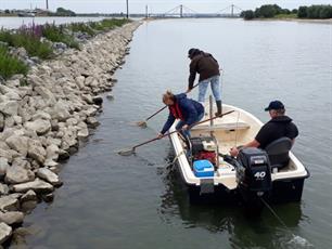 Adviezen visstandbeheer voor verenigingen