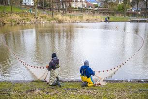Alles over visserijkundige onderzoeken