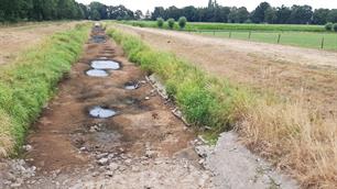 Ambulance voor vissen