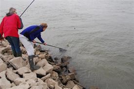 Barbeelwedstrijd 2009 landen