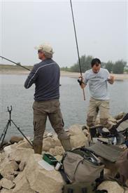 Barbeelwedstrijd 2009