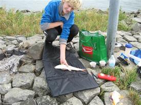 Barbeelwedstrijd 2009