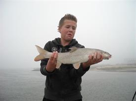 Barbeelwedstrijd 2009