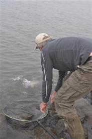 Barbeelwedstrijd 2009