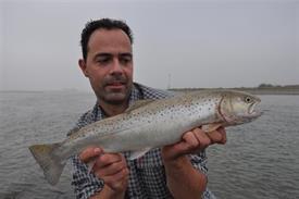 Barbeelwedstrijd 2009