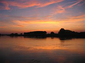 Barbeelwedstrijd 2009