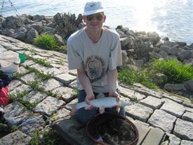 Barbeelwedstrijd 2009