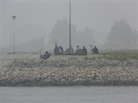 Barbeelwedstrijd 2009