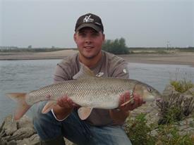 Barbeelwedstrijd 2009