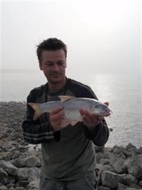 Barbeelwedstrijd 2009