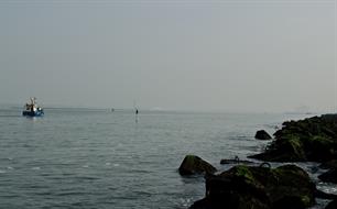 Bezwaar aangetekend tegen staand wantvisserij Europoort- en Maasvlaktegebied