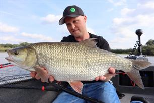 Bijvangst: hybride roofblei x winde