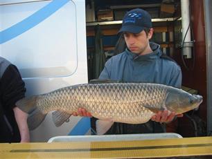 Biologische maaiboten