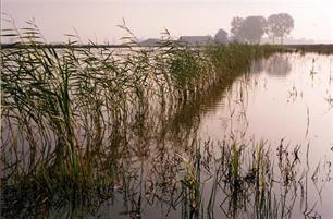 Blauwestad : Van landbouwgrond naar waterparadijs