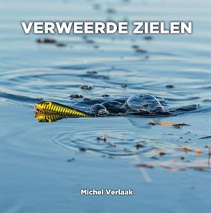 Boekentip: Verweerde zielen