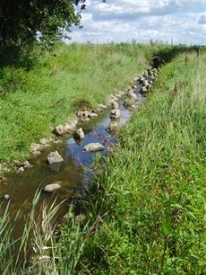 Brabantse beken onder de loep