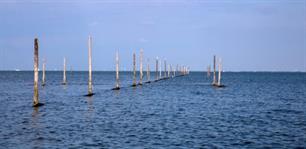 Brandbrief aan staatssecretaris Van Dam: 'regel visserij IJsselmeer'