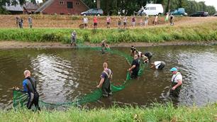 Checklist Droogte en Vis: samenwerken bij dreigende vissterfte