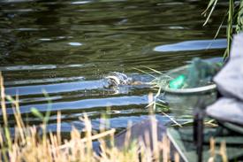 CK0A4392 (Small) - kopie