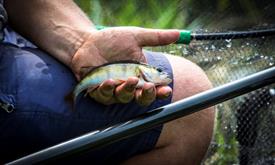 CK0A4531B (Small) - kopie