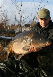Column - Blub de goudvis