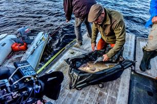 Compilatie Vis TV 2016: unieke beelden (video)