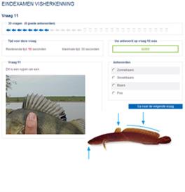 Cursus visherkenning