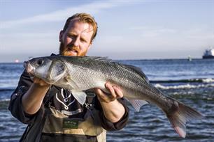 D66: 'Bescherm natuur in Waddenzee en Noordzee'