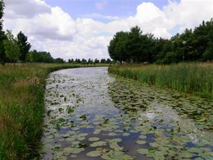 De KRW visdoelen zijn aan revisie toe