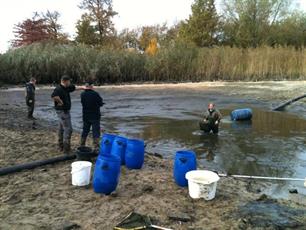De opmars van exoten is niet te stuiten