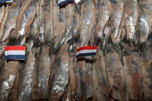 De smakelijke biologie van de haring