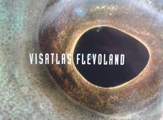 De visatlas Flevoland
