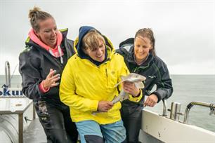 De Visvrouwen naar de haaien (video)