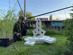 Drijvende eilanden voor meerval