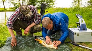 Een kijkje in de keuken van de karperdokter: Mark Breedveld (video)