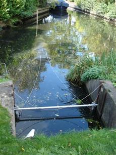 Een stilstaand gemaal is het visvriendelijkst