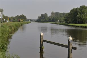 Eerste resultaten spiegelkarperonderzoek Noord-Willemskanaal bekend