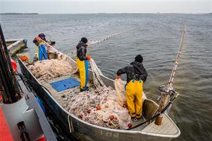 Eerste resultaten visstandonderzoek Zuidelijke Randmeren