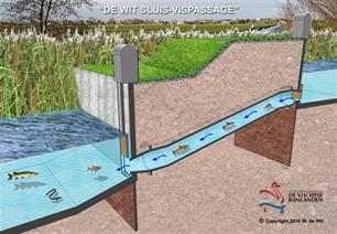 Effectief sluizen nemen